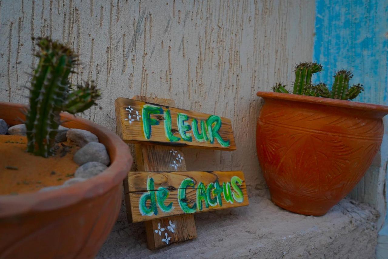 Fleur De Cactus, Guesthouse, Tamraght Luaran gambar